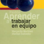 Aprender a trabajar en equipo de Margarita MartínezMaribel Salvador