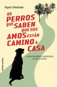 De perros que saben que sus amos están camino de casa de