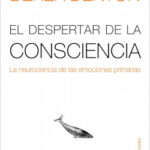 El despertar de la conciencia de
