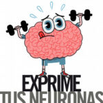 Exprime tus neuronas de John Medina