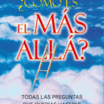 ¿Cómo es el Más Allá? de Concetta Bertoldi