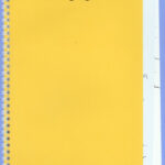 La libreta amarilla de Robert SaladrigasRobert Saladrigas