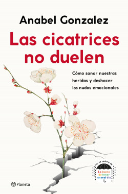 Las cicatrices no duelen de Anabel Gonzalez