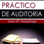 Manual práctico de auditoría de