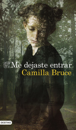 Me dejaste entrar de