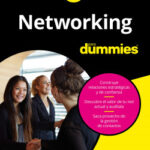 Networking para Dummies de Nohelis Ruiz Arvelo