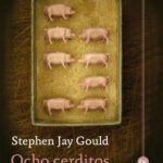 Ocho cerditos de Stephen Jay Gould