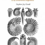 Ontogenia y Filogenia de Stephen Jay Gould