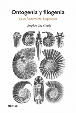 Ontogenia y Filogenia de Stephen Jay Gould