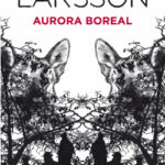 Aurora boreal de Åsa LarssonÅsa Larsson