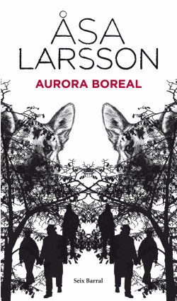 Aurora boreal de Åsa LarssonÅsa Larsson