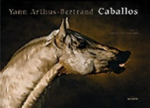 Caballos de