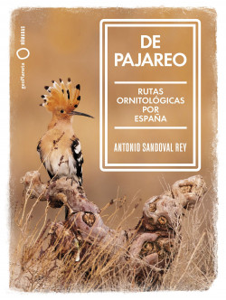 De pajareo de Antonio Sandoval