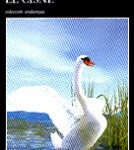 El cisne de Gudbergur BergssonGudbergur Bergsson