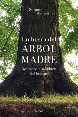En busca del Árbol Madre de