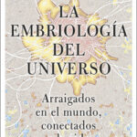 La embriología del universo de
