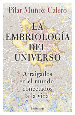 La embriología del universo de