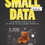 Small Data de Martin Lindstrom