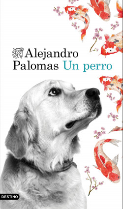 Un perro de Alejandro PalomasAlejandro Palomas