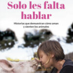 Solo les falta hablar de Laura LuengoEduardo Terrer